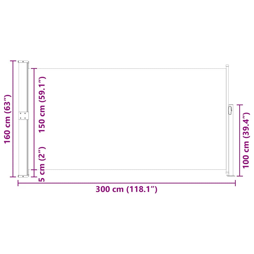 Patio Terrace Side awning 160 x 300 cm Black