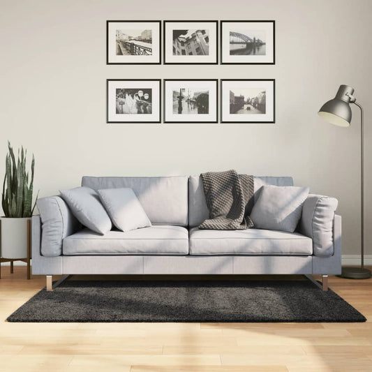 Shaggy Rug PAMPLONA High Pile Modern Anthracite 80x150 cm