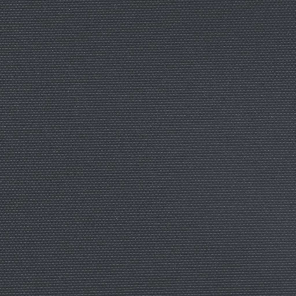 Retractable Side Awning Black 140x300 cm