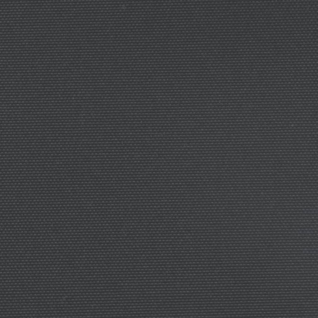 Retractable Side Awning Black 120x1200 cm