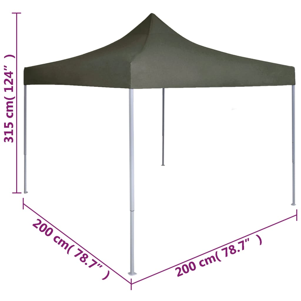 Professional Folding Party Tent 2x2 m Steel Anthracite