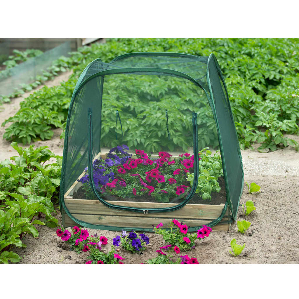 Nature Pop up Greenhouse 100 x 100 x 100 cm 6020409