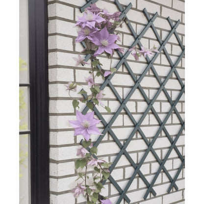 Garden Trellis 50x150 cm PVC Anthracite