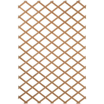 Nature Garden Trellis 100x300 cm Wood Brown