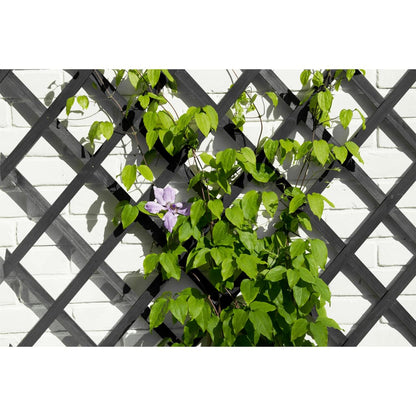 Nature Garden Trellis 50x150 cm Wood Anthracite