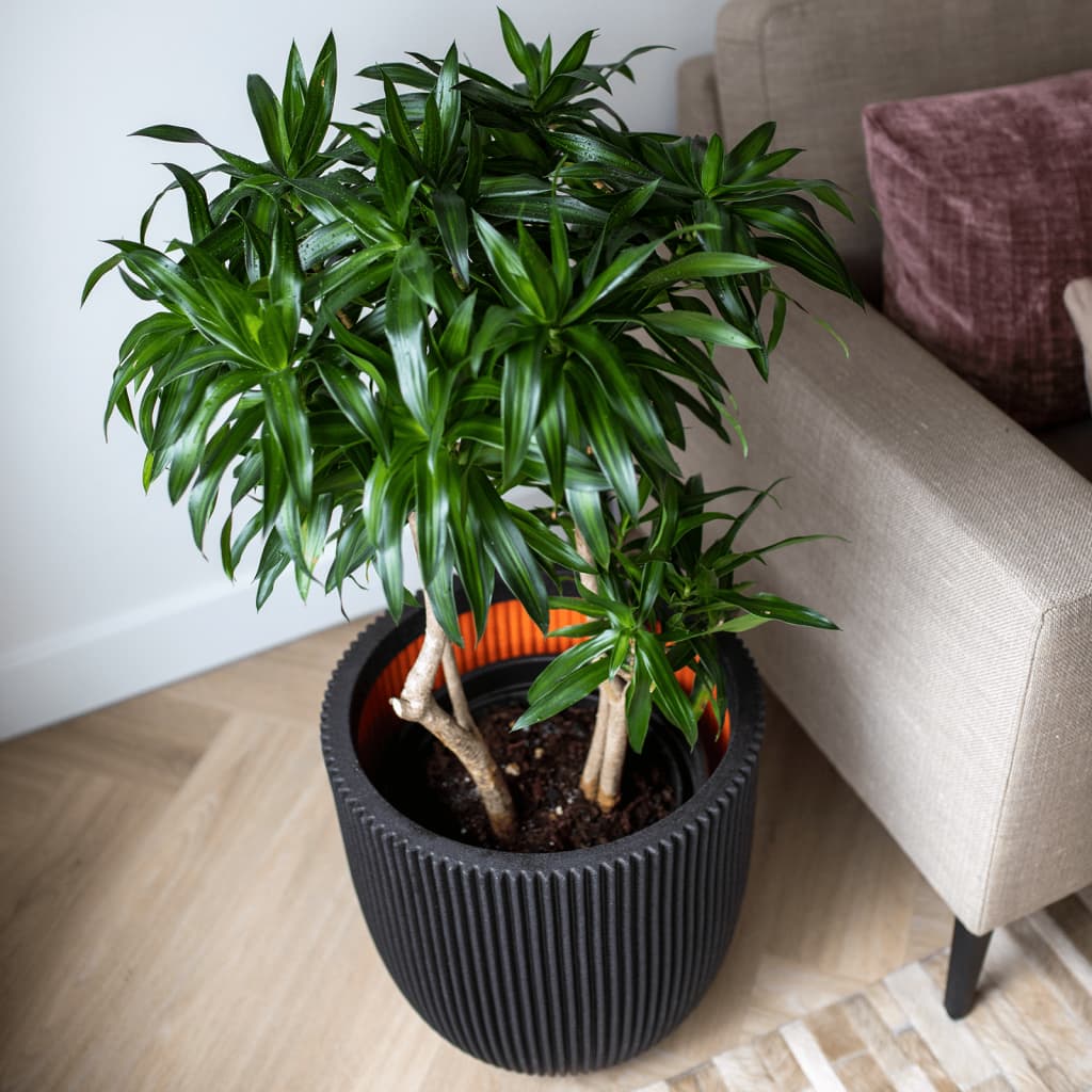 Capi Planter Groove 43x41 cm Black