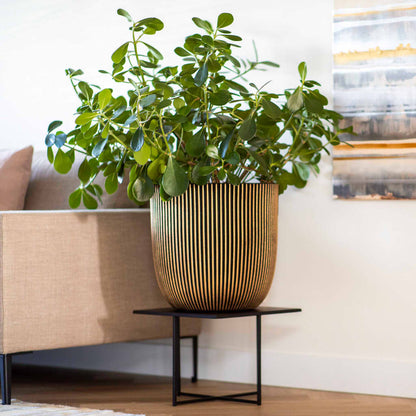 Capi Planter Groove 35x34 cm Black and Gold