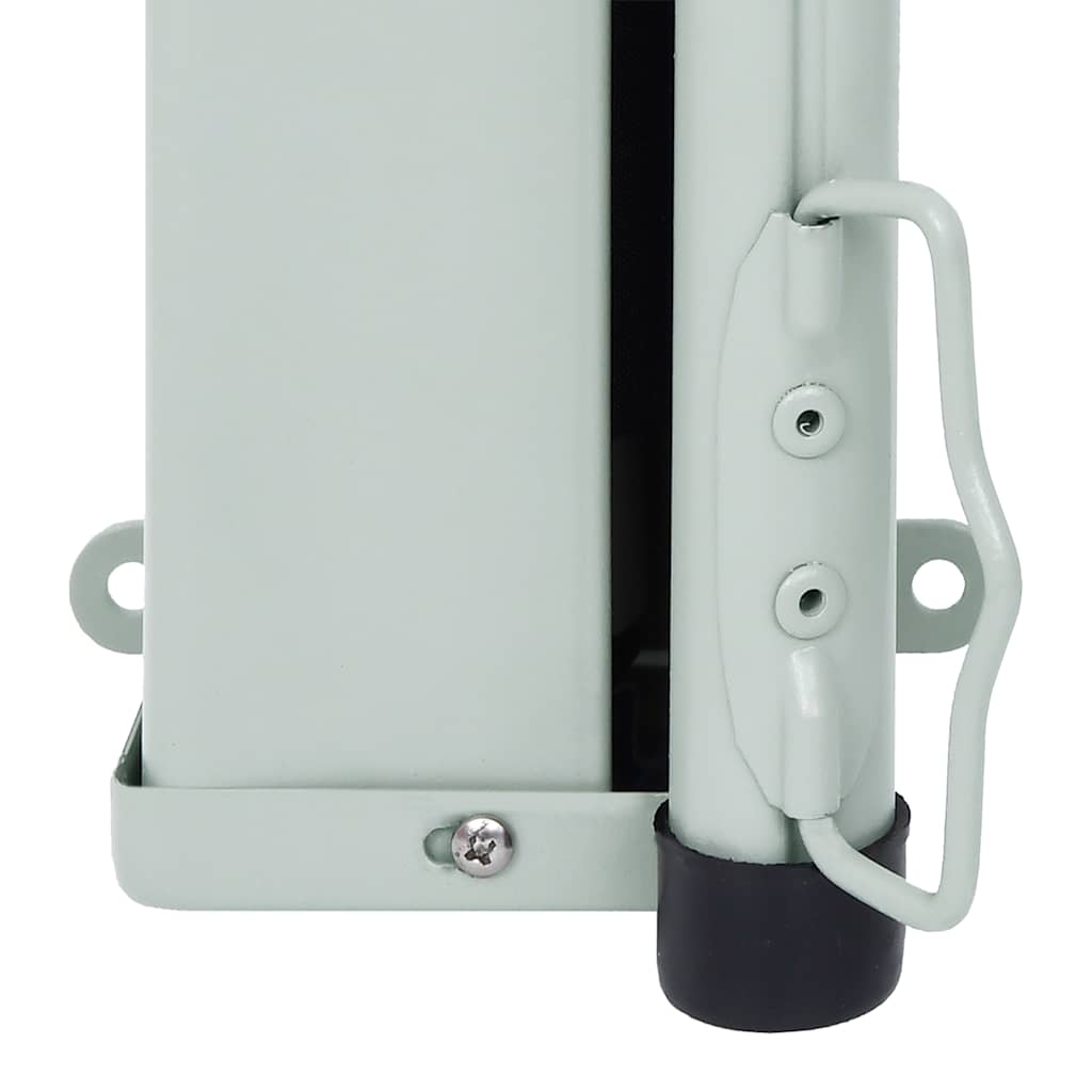 Patio Terrace Side awning 160 x 300 cm Black