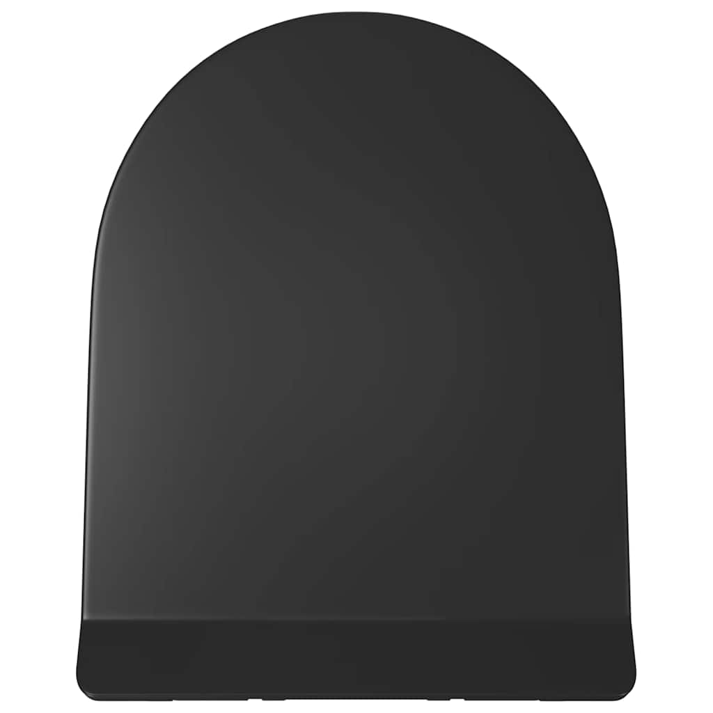 Soft-close Toilet Seat with Quick-release Design Black