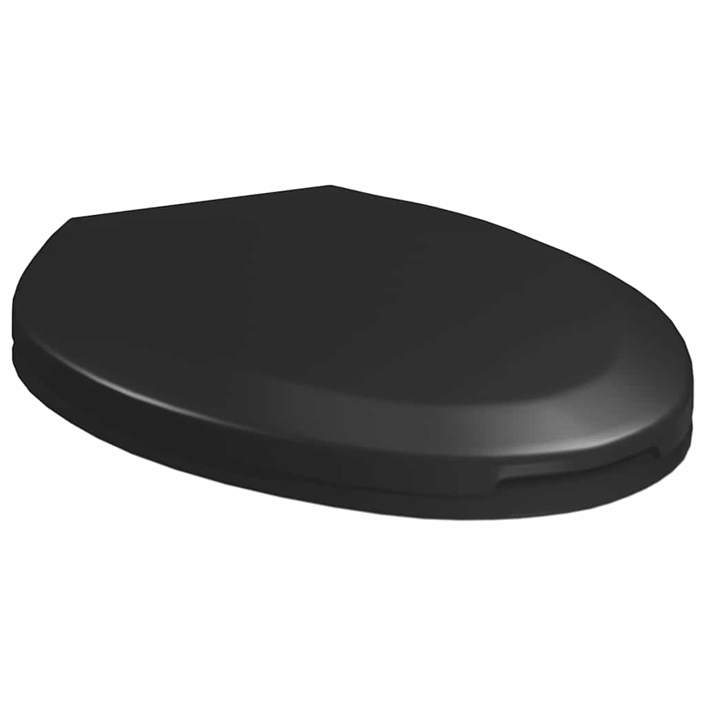 Soft-close Toilet Seat with Quick-release Design Black