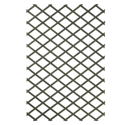 Nature 2 pcs Garden Trellises 100x200 cm Wood Green