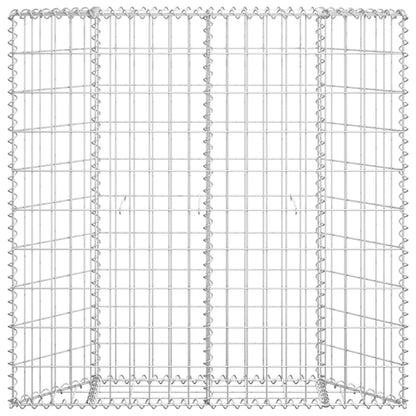 Trapezium Gabion Raised Bed Galvanised Steel 100x20x100 cm