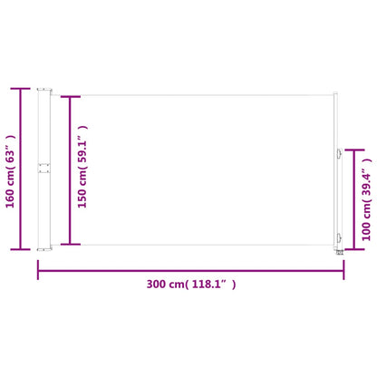 Patio Retractable Side Awning 160x300 cm Brown