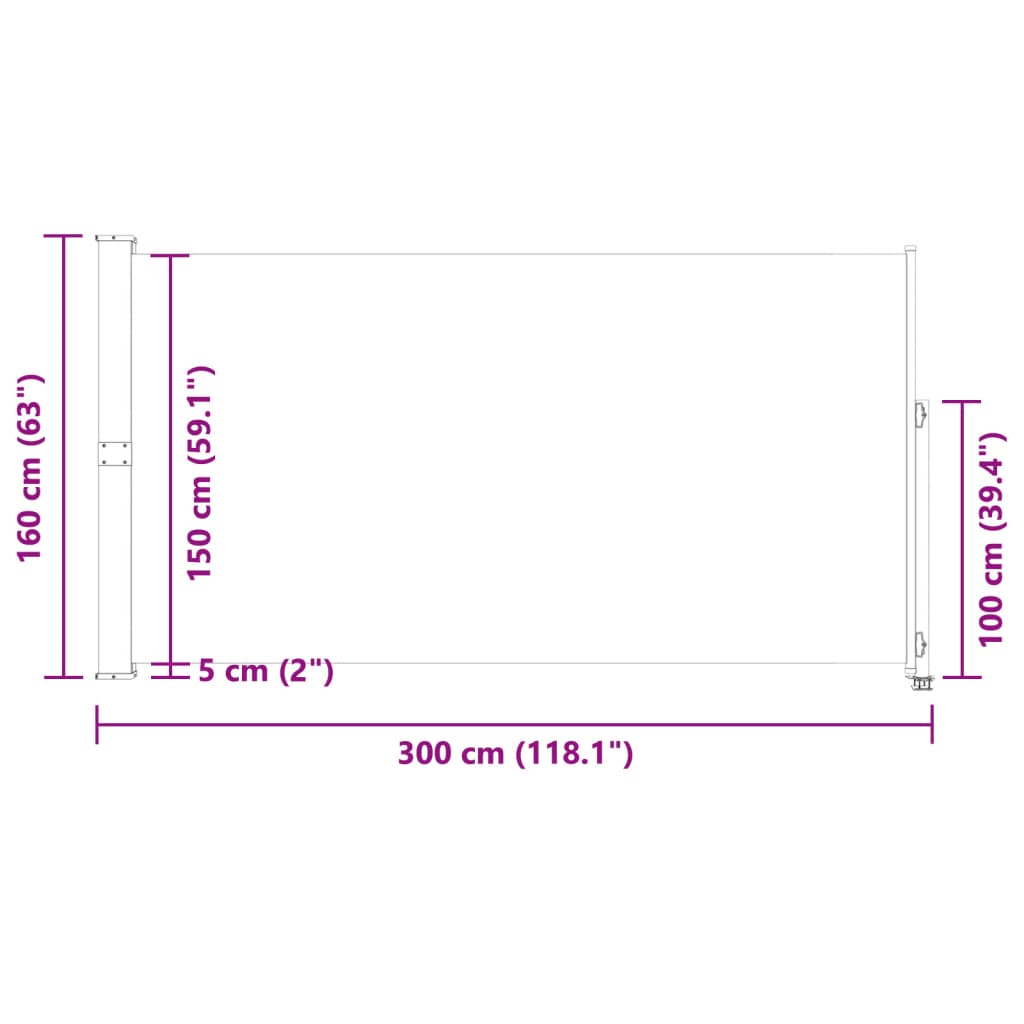 Patio Retractable Side Awning 160x300 cm Blue