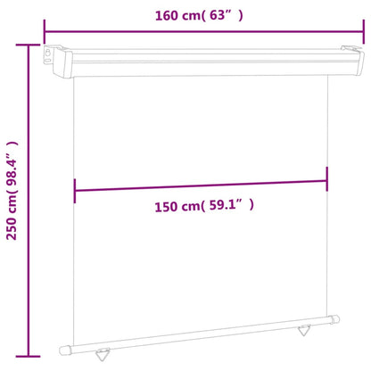 Balcony Side Awning 165x250 cm Blue