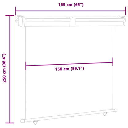 Balcony Side Awning 165x250 cm Grey