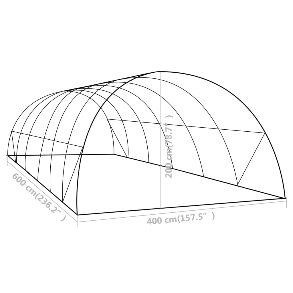 Greenhouse 24 m² 6x4x2 m