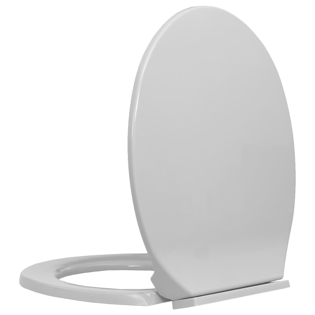 Soft-Close Toilet Seat Light Grey Oval