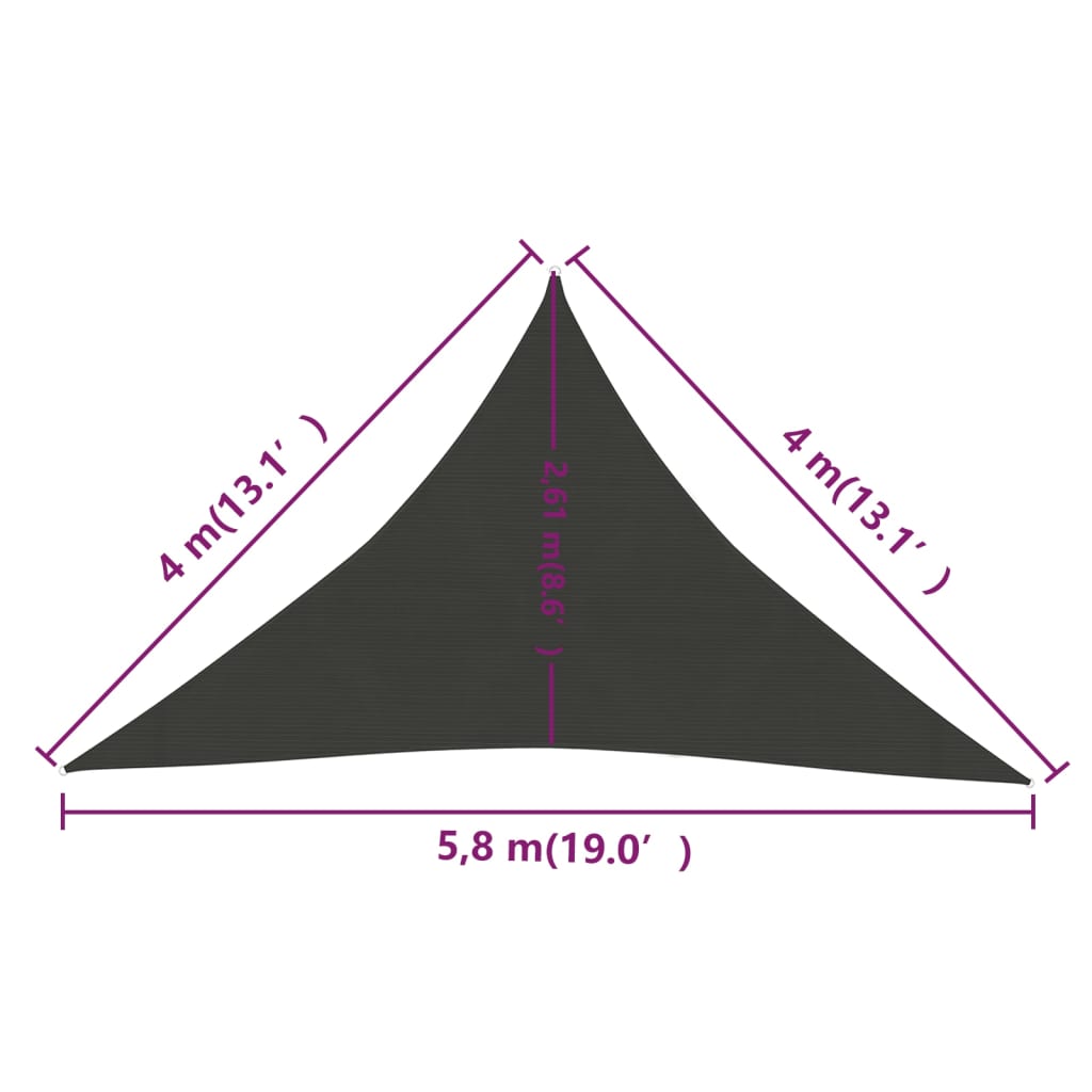 Sunshade Sail 160 g/m² Anthracite 4x4x5.8 m HDPE