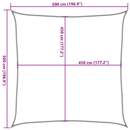 Sunshade Sail 160 g/m² Square Blue 5x5 m HDPE