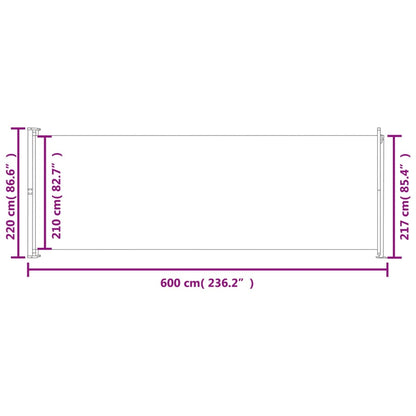 Patio Retractable Side Awning 220x600 cm Blue