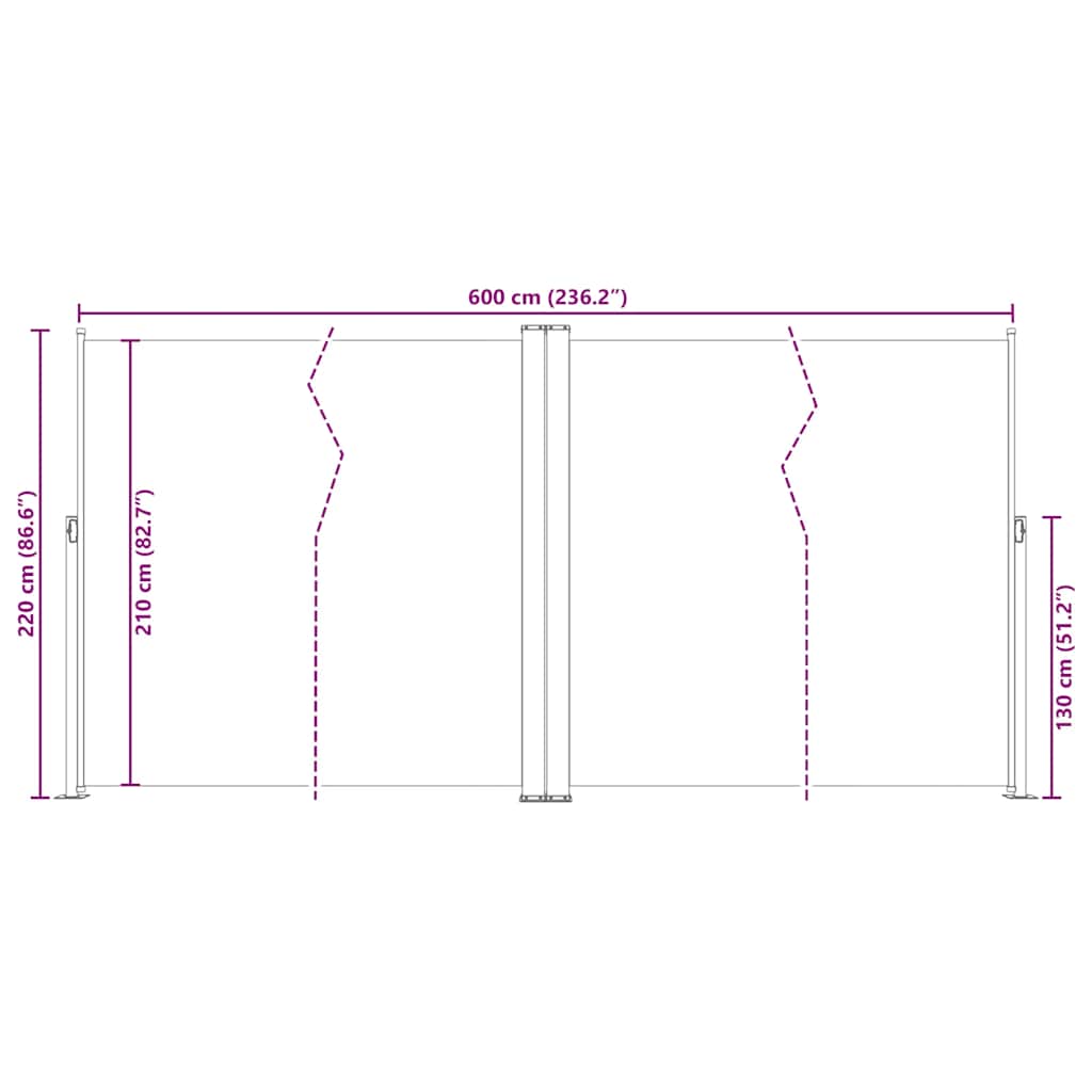 Retractable Side Awning Brown 220x600 cm