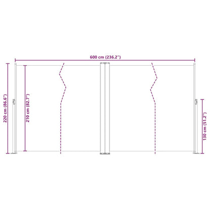 Retractable Side Awning Brown 220x600 cm