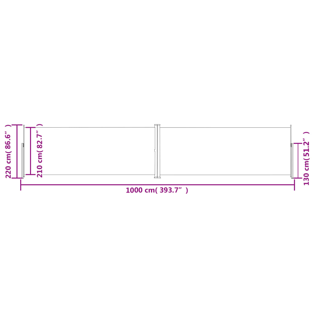 Retractable Side Awning Black 220x1000 cm