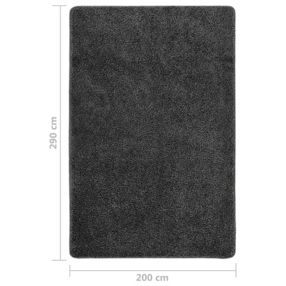 Shaggy Rug Dark Grey 200x290 cm Anti Slip