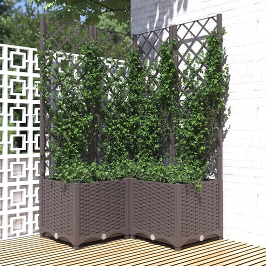 Garden Planter with Trellis Brown 80x80x136 cm PP