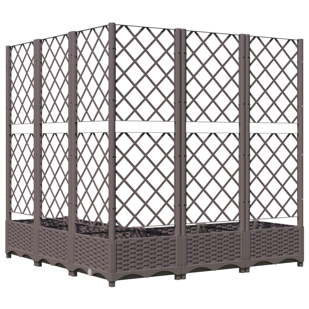 Garden Planter with Trellis Brown 120x120x121.5 cm PP