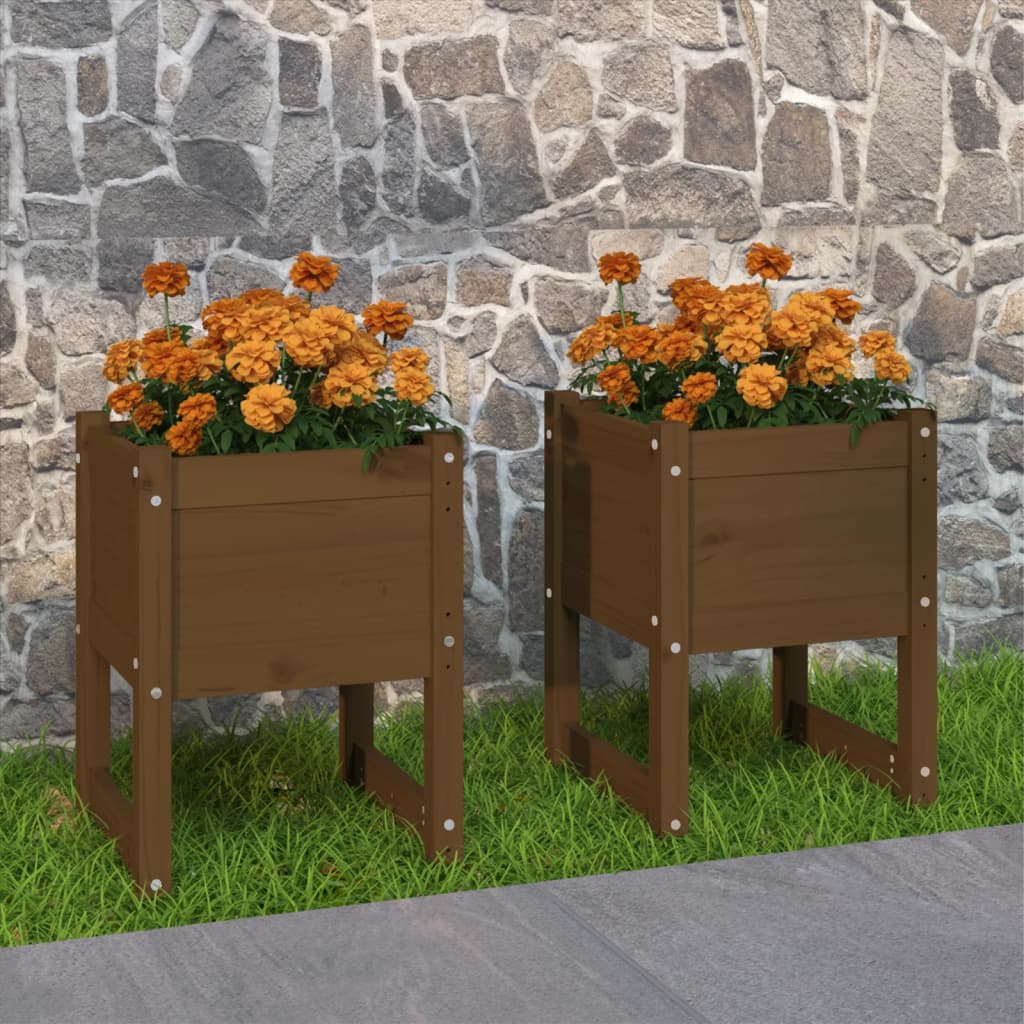 Planters 2 pcs Honey Brown 40x40x52.5 cm Solid Wood Pine