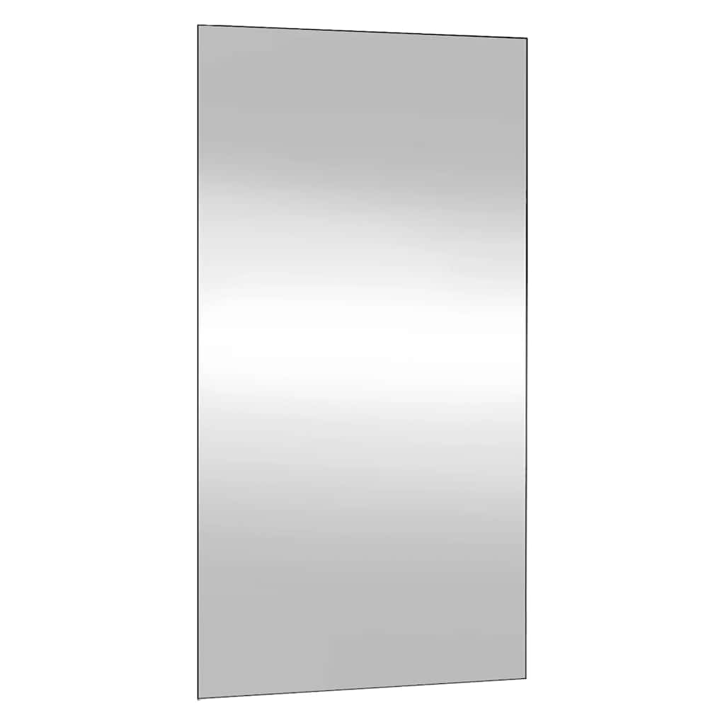 Wall Mirror 50x100 cm Glass Rectangle