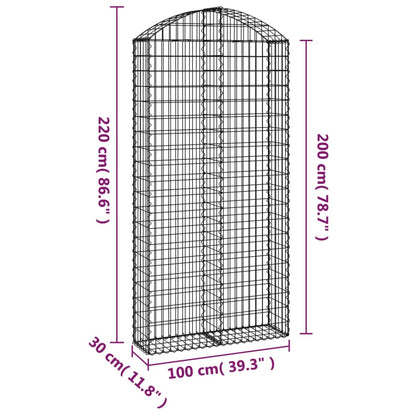 Arched Gabion Basket 100x30x200/220 cm Galvanised Iron