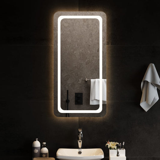LED Bathroom Mirror 50x100 cm