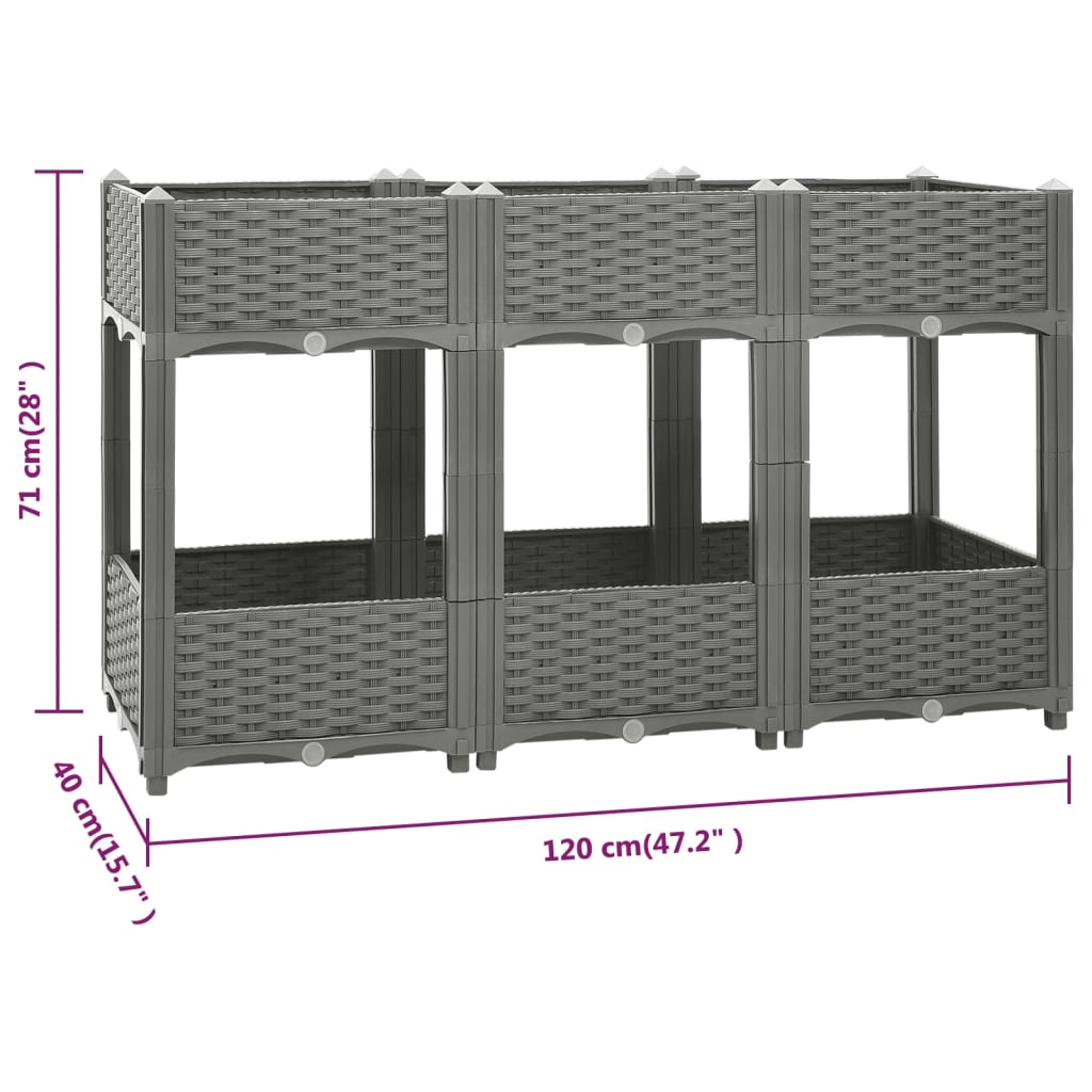 Raised Bed 120x40x71 cm Polypropylene