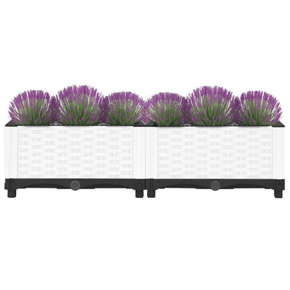 Raised Bed 80x40x23 cm Polypropylene