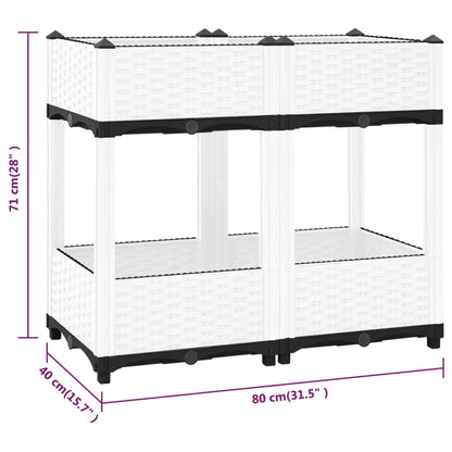 Raised Bed 80x40x71 cm Polypropylene