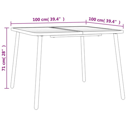 Garden Table Anthracite 100x100x71 cm Steel