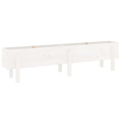 Garden Raised Bed White 160x30x38 cm Solid Wood Pine