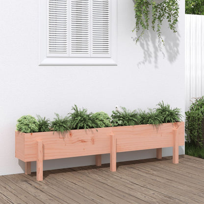 Garden Raised Bed 160x30x38 cm Solid Wood Douglas