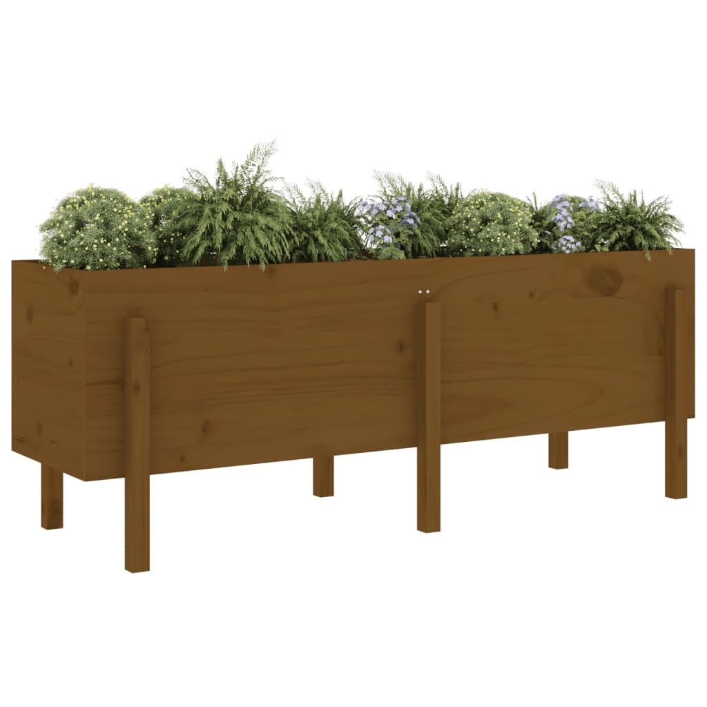 Garden Raised Bed Honey Brown 160x50x57 cm Solid Wood Pine