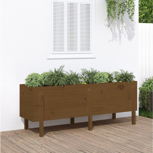 Garden Raised Bed Honey Brown 160x50x57 cm Solid Wood Pine