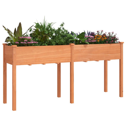 Planter with Liner Brown 161x45x76 cm Solid Wood Fir