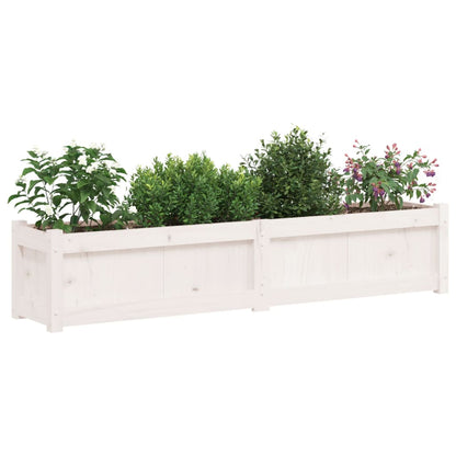 Garden Planter White 150x31x31 cm Solid Wood Pine