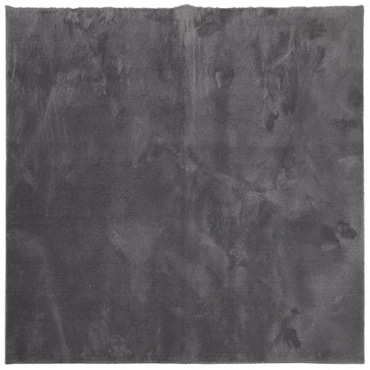 Rug HUARTE Short Pile Soft and Washable Anthracite 240x240 cm