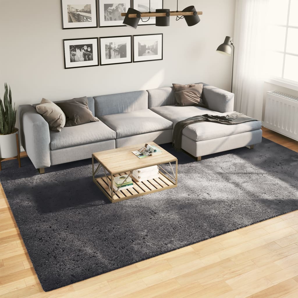 Rug HUARTE Short Pile Soft and Washable Anthracite 240x340 cm