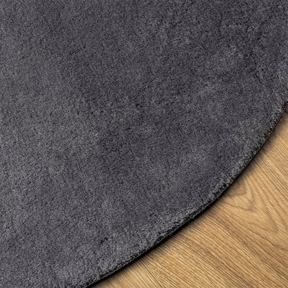 Rug HUARTE Short Pile Soft and Washable Anthracite Ø 160 cm