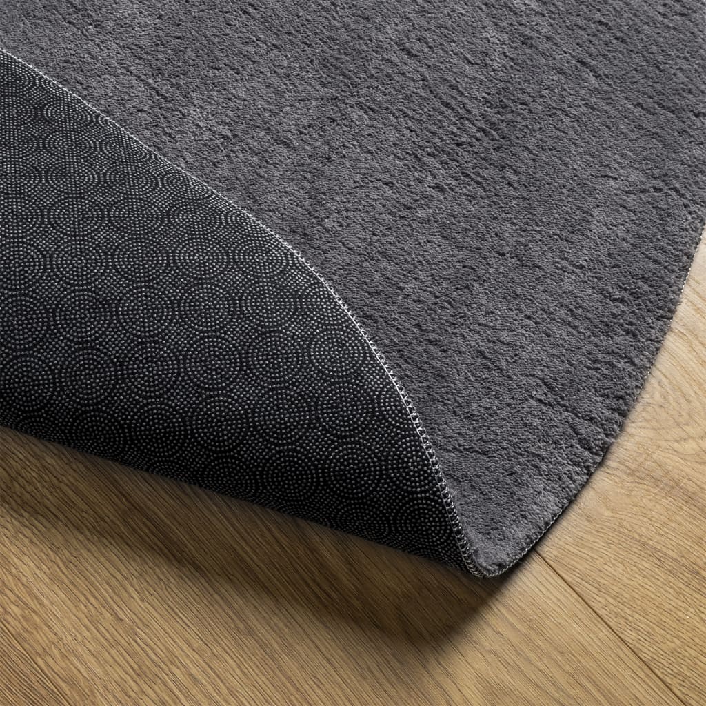 Rug HUARTE Short Pile Soft and Washable Anthracite Ø 160 cm