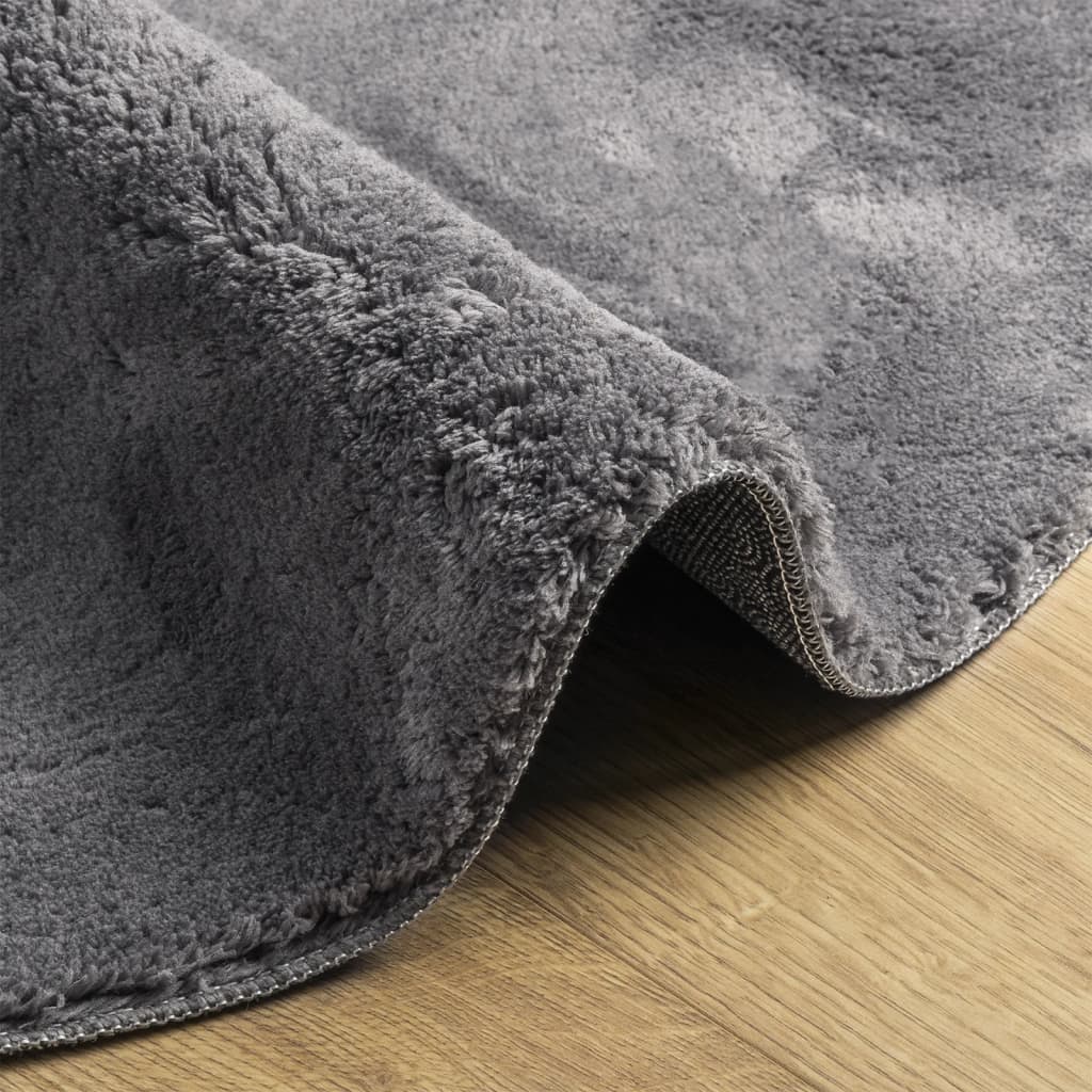 Rug HUARTE Short Pile Soft and Washable Anthracite Ø 160 cm